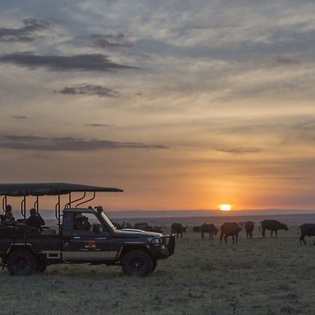 Elephant Pepper Camp Масаи-Мара Экстерьер фото